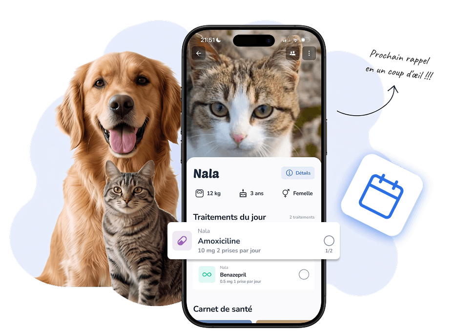 Suivi des prises de traitement dans l'application Galia
