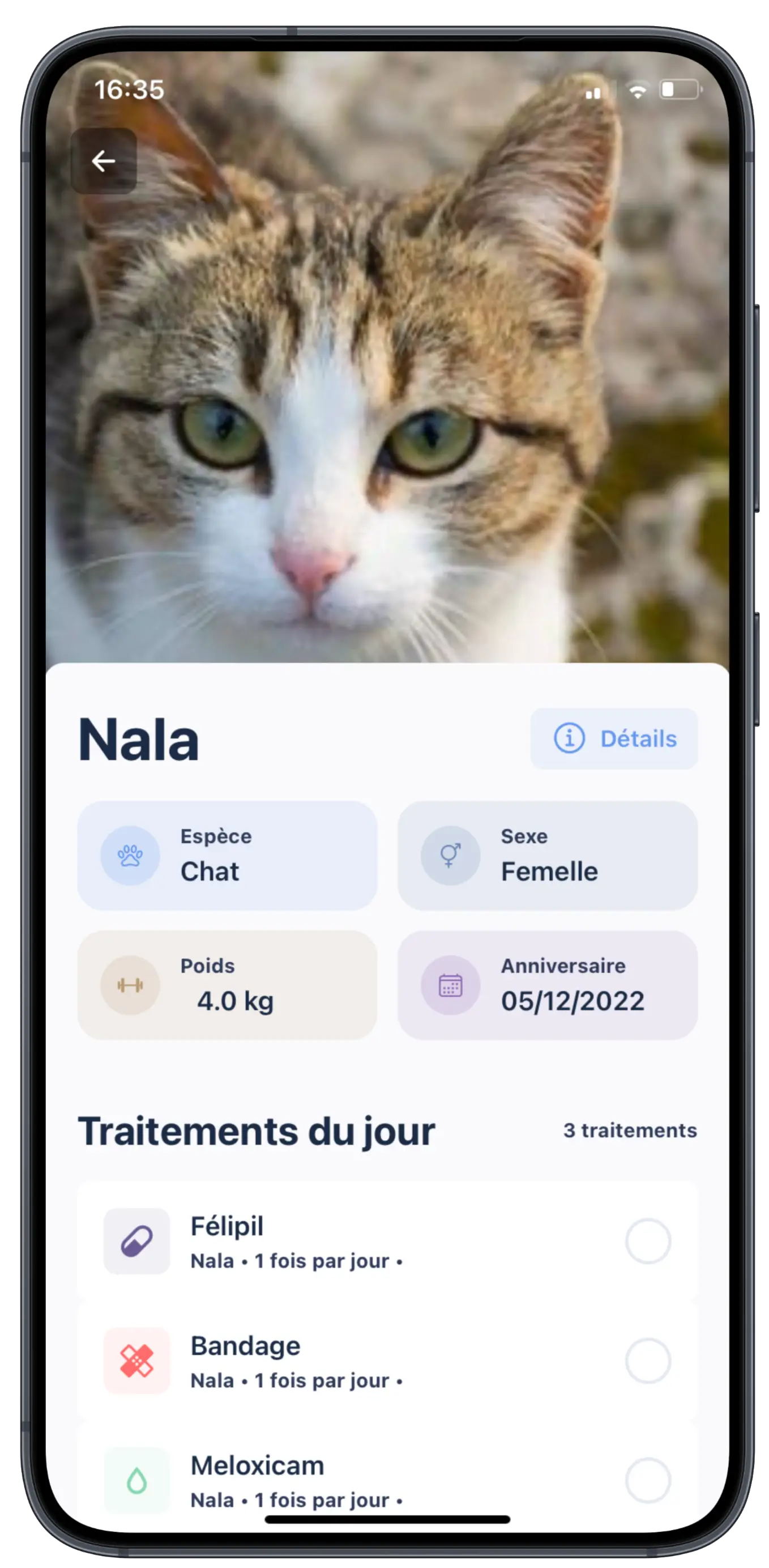 Galia App Interface on iPhone